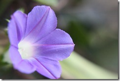 IMG_1898 IMG_1898