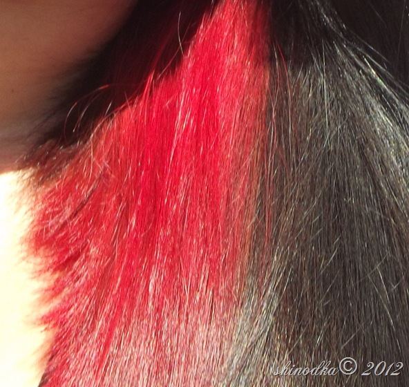 DSCF3767 DSCF3767