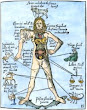 Woodcut From Gregor Reisch Margarita Philosophica