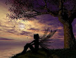 Fairy Sunset