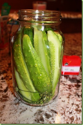 Pickles 010