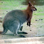 20100402_199.JPG
