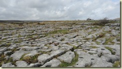 02.El Burren 02.El Burren