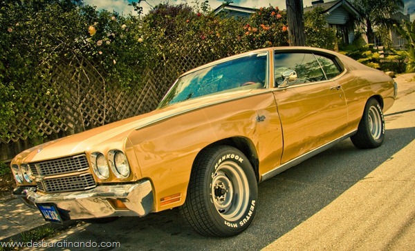 muscle-cars-classics-wallpapers-papeis-de-parede-desbaratinando-(83) muscle-cars-classics-wallpapers-papeis-de-parede-desbaratinando-(83)