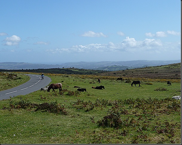 dartmoor 010