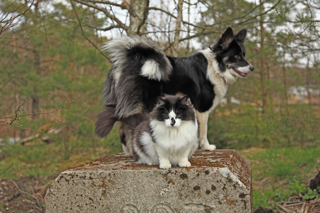 [25apr2012_Jentene%2520p%25C3%25A5%2520Pernestangen_0123%255B5%255D.jpg]
