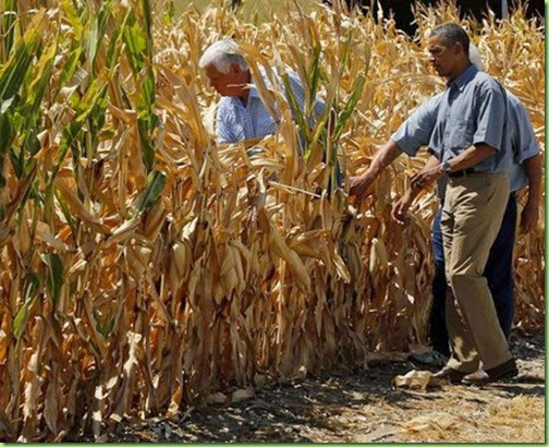 bo field of dreams