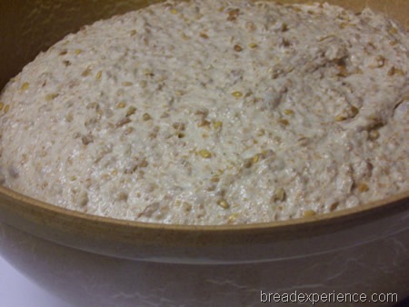 [multigrain-spelt-bread-with-soaker%2520011%255B1%255D.jpg]