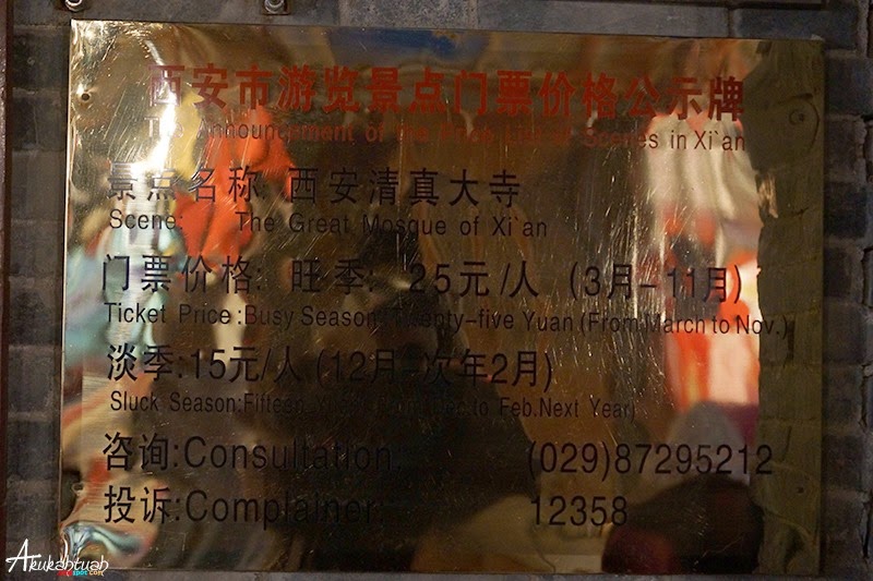 DSC03255 DSC03255