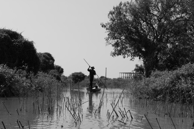 A moment from Kompong Phluk flooded forests