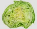 Iceberg Lettuce