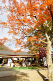 DSC00328.JPG
