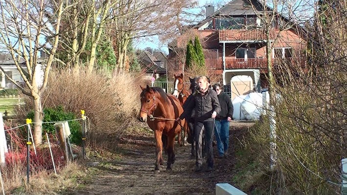 [20140208143700-%25281%2529%255B2%255D.jpg]