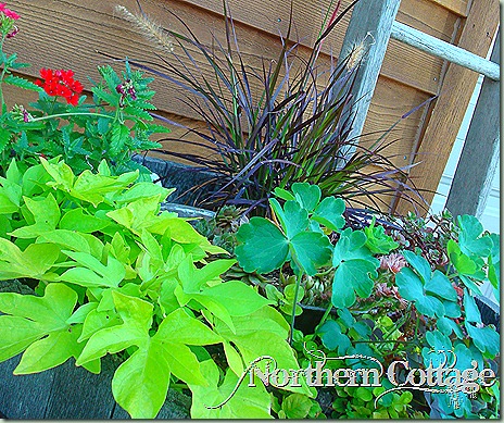 home 017 home 017