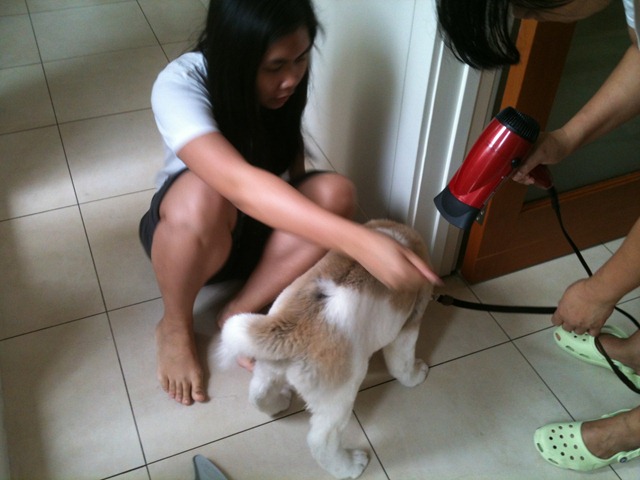 [0393.jpg]