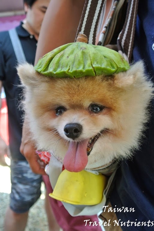 [DSC_4063%255B4%255D.jpg]