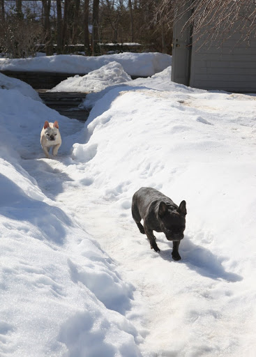 It's finally warmer today.  Let's get out and play!