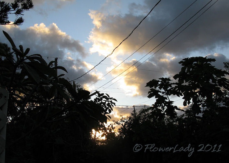 [11-13-sunrise%255B4%255D.jpg]