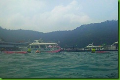 IMG_0391 IMG_0391