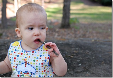 eating a stick