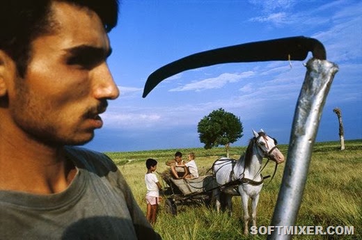 [gypsies_01%5B2%5D.jpg]