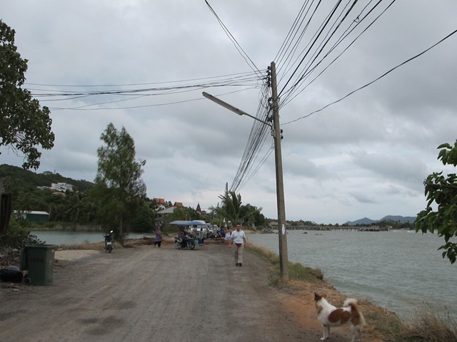 [IMG_55083.jpg]