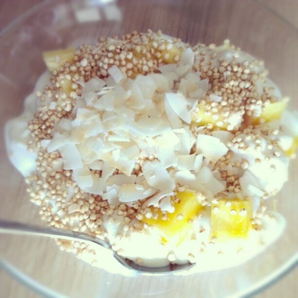 [5%2520Joghurt%2520mit%2520Ananas%252C%2520Quinoa-Pops%2520und%2520Kokoschips%255B3%255D.jpg]