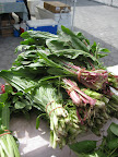 Dandelion greens