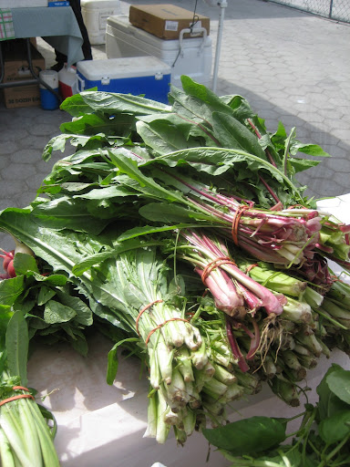 Dandelion greens