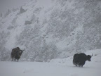 IMG_1506.JPG