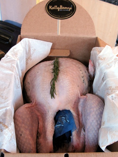 Surprise turkey