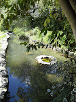 la pisciculture la pisciculture