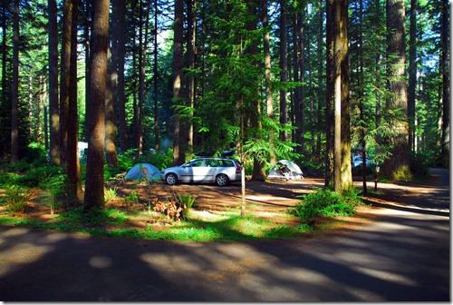 Silver Falls Campground