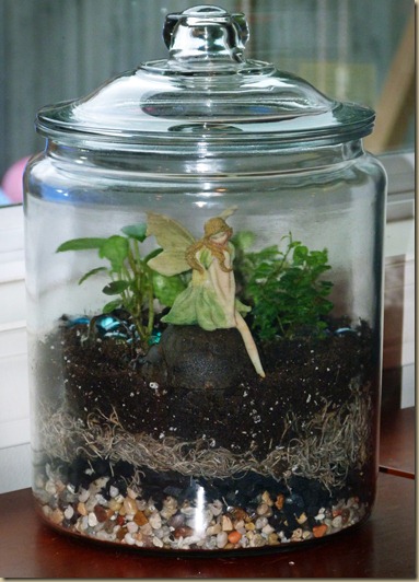 Terrarium - Take 2 - 4