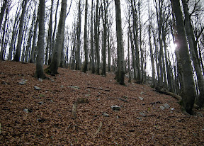 DSCN0530_resize.jpg