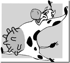 Vaca Leiteira Vaca Leiteira