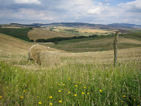 Fields