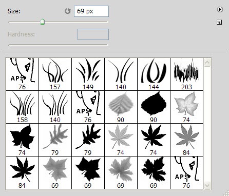 APS_Grass_Leaves_brushes APS_Grass_Leaves_brushes