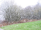 Man ser ikke skogen for bare snø (filler).