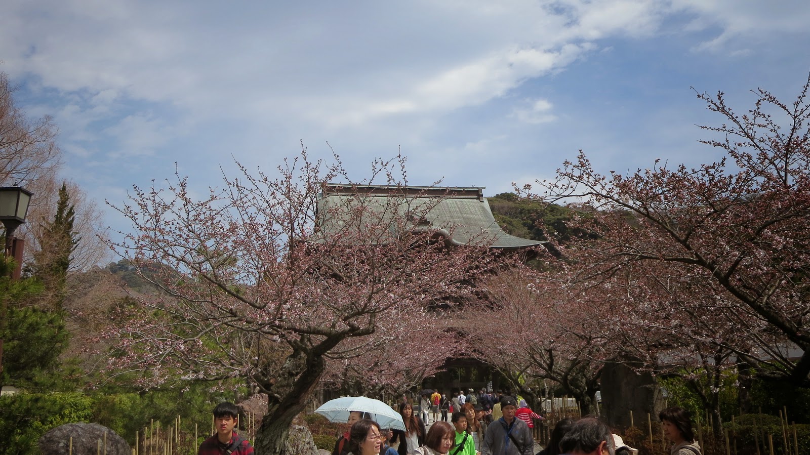 [IMG_0629%255B3%255D.jpg]
