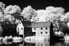 The-Mill-House
