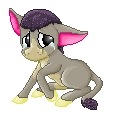 [Crying_Donkey%255B3%255D.jpg]