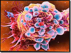 thalidomide cure cancer thalidomide cure cancer