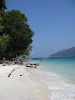  Koh Lipe Resimleri Fotoğrafları