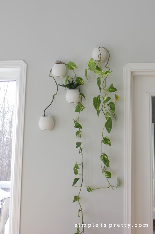 [Hanging%2520Planters%2520in%2520Dining%2520Room%255B5%255D.jpg]