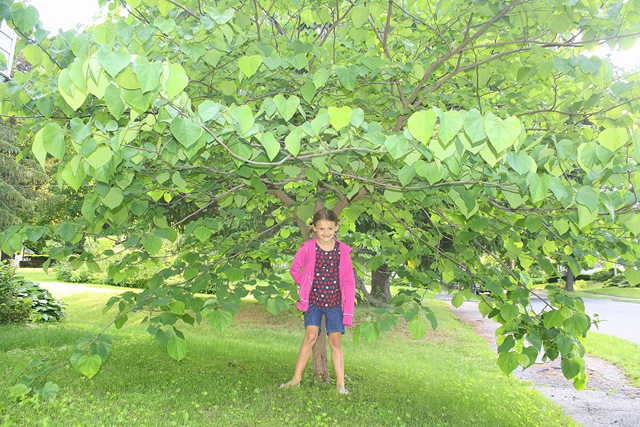 [lastdaycaroline%255B3%255D.jpg]