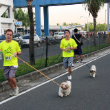 Pet Express Doggie Run 2012 Philippines. Jpg (51).JPG