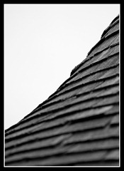 web_IMG_6219