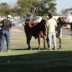 superleite2011_dia1407_82.JPG