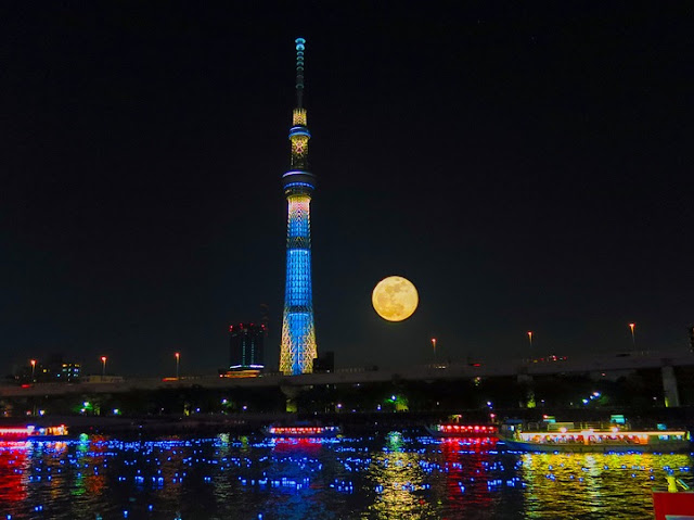 tokyo-hotaru-06-terapixel.jpg